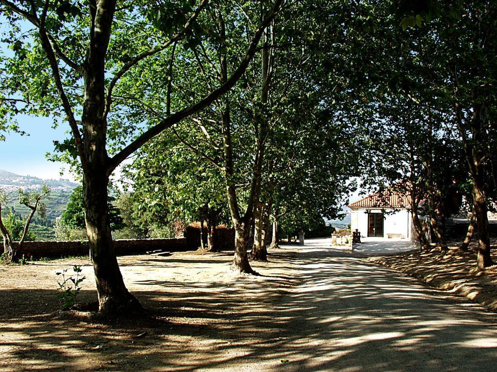 Casa De Vilarinho De S. Romao Sabrosa Exteriér fotografie